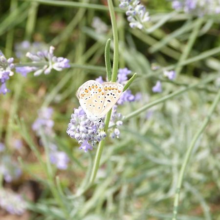 Gite Le Cherche Midi Гайак Экстерьер фото